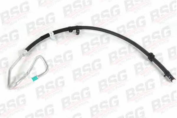 BSG 30-725-055 High pressure hose with ferrules 30725055