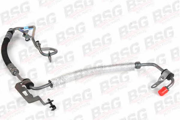 BSG 30-725-062 High pressure hose with ferrules 30725062