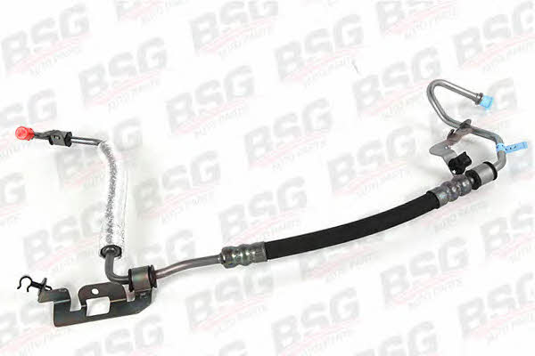 BSG 30-725-065 High pressure hose with ferrules 30725065