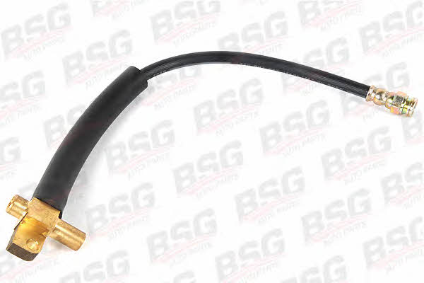 BSG 30-730-009 Brake Hose 30730009