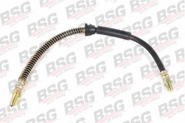 BSG 30-730-014 Brake Hose 30730014