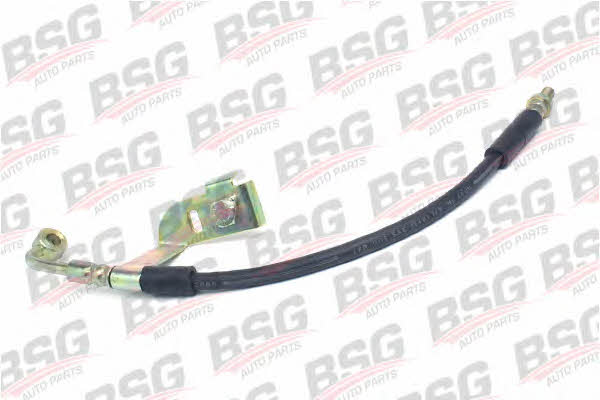 BSG 30-730-016 Brake Hose 30730016