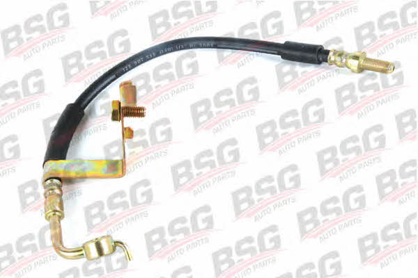 BSG 30-730-017 Brake Hose 30730017