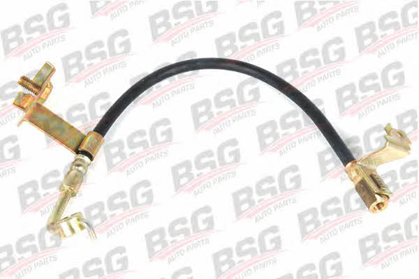 BSG 30-730-019 Brake Hose 30730019