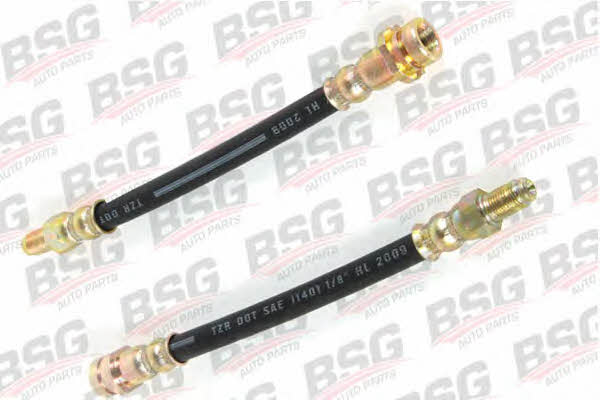 BSG 30-730-023 Brake Hose 30730023