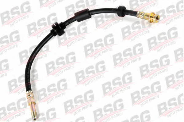 BSG 30-730-024 Brake Hose 30730024