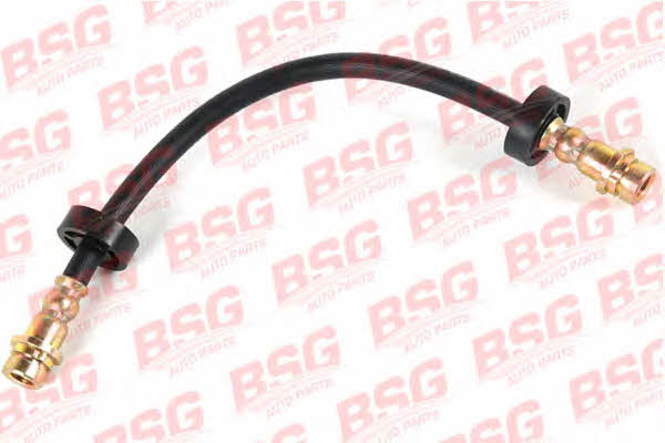BSG 30-730-026 Brake Hose 30730026