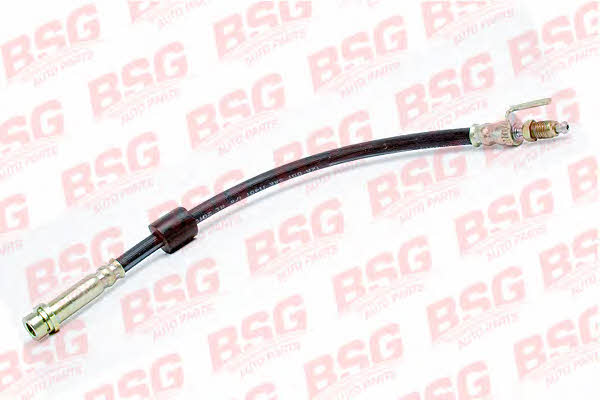 BSG 30-730-035 Brake Hose 30730035