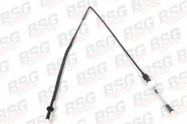 BSG 30-755-001 Accelerator cable 30755001