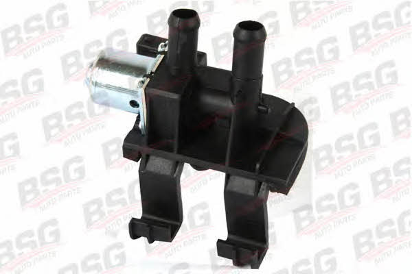 BSG 30-838-001 Heater control valve 30838001