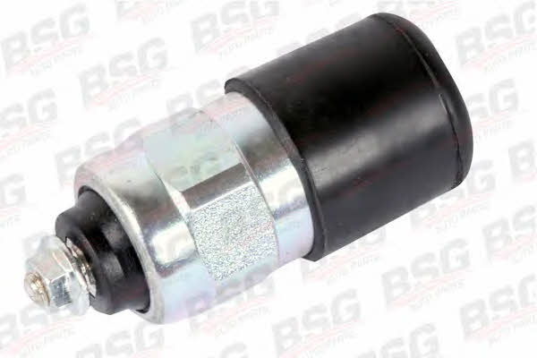 BSG 30-840-015 Injection pump valve 30840015