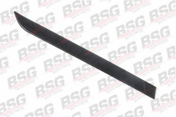 BSG 30-924-004 Trim/Protective Strip, door 30924004