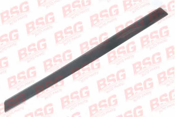 BSG 30-924-036 Trim/Protective Strip, door 30924036