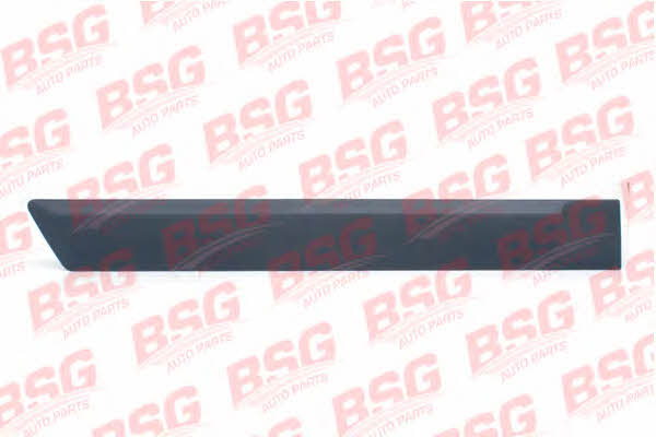 BSG 30-924-038 Trim/Protective Strip, door 30924038