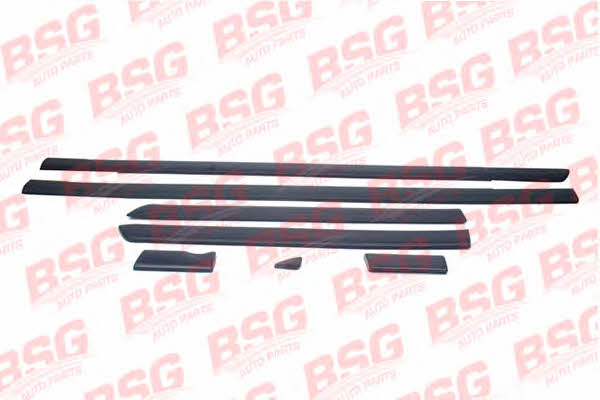BSG 30-924-057 Trim/Protective Strip, door 30924057