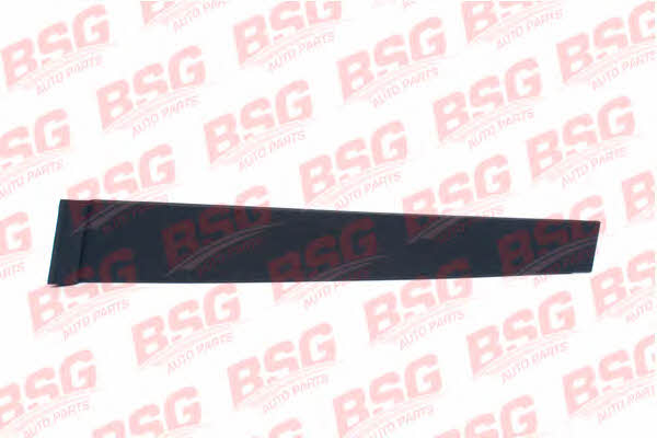 BSG 30-925-003 Trim/Protective Strip, door 30925003
