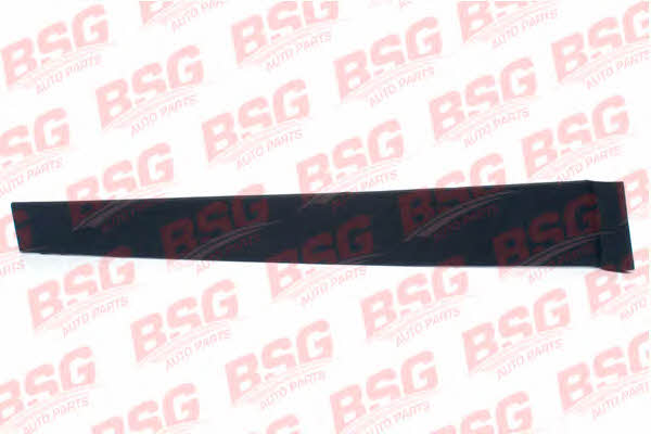 BSG 30-925-008 Trim/Protective strip, door window 30925008