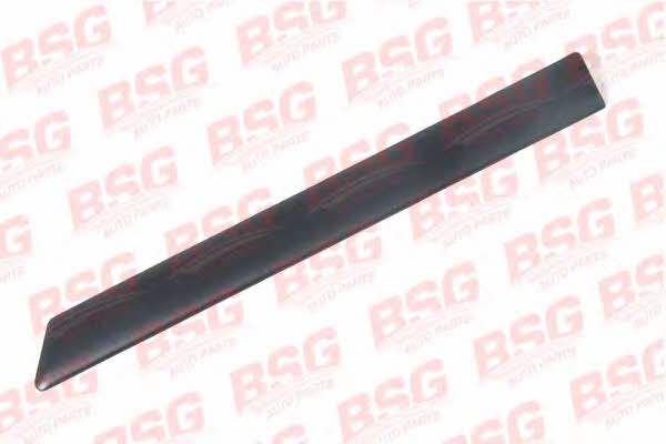 BSG 30-926-002 Trim/Protective Strip, wing 30926002