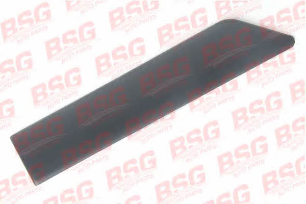 BSG 30-926-003 Trim/Protective Strip, wing 30926003