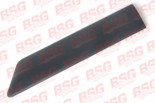 BSG 30-926-004 Trim/Protective Strip, wing 30926004