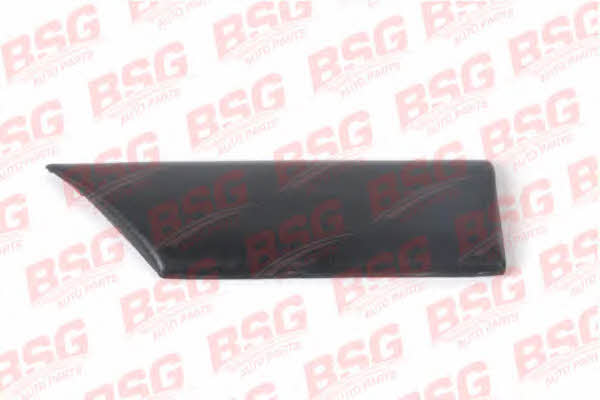 BSG 30-926-005 Trim/Protective Strip, wing 30926005
