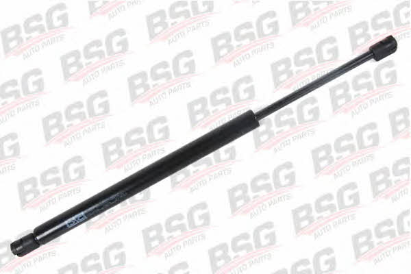 BSG 30-980-002 Gas Spring, boot-/cargo area 30980002