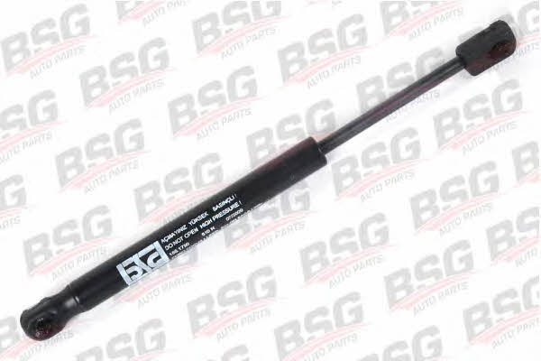 BSG 30-980-005 Gas Spring, boot-/cargo area 30980005