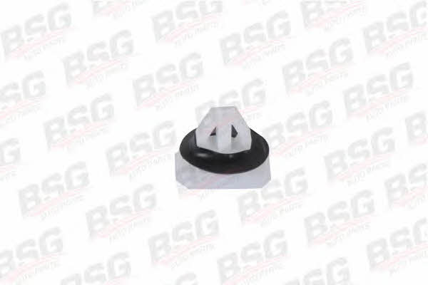 BSG 30-995-001 Clip, trim/protective strip 30995001