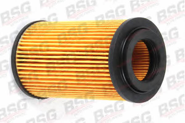 BSG 60-130-002 Fuel filter 60130002