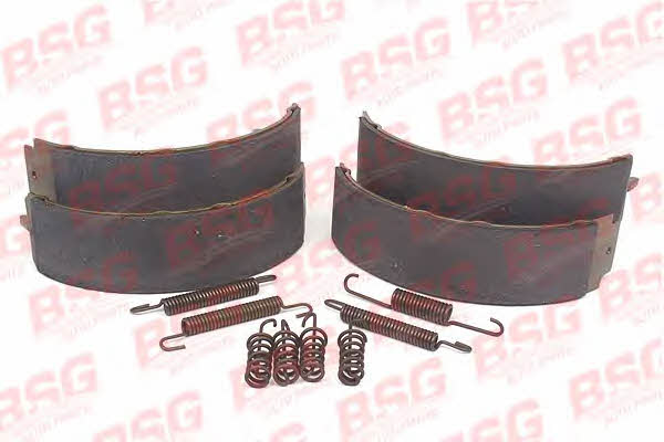 BSG 60-205-003 Parking brake shoes 60205003