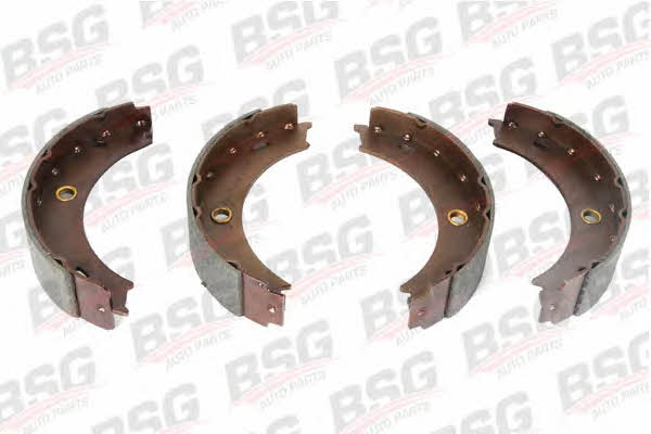 BSG 60-205-004 Parking brake shoes 60205004