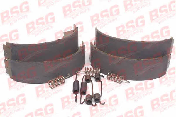 BSG 60-205-005 Parking brake shoes 60205005
