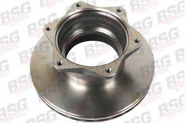 BSG 60-210-001 Rear ventilated brake disc 60210001