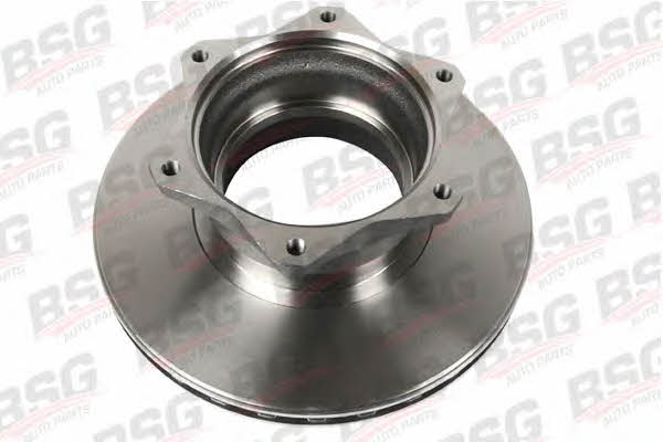BSG 60-210-002 Rear ventilated brake disc 60210002