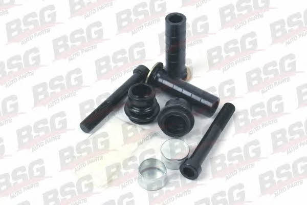 BSG BSG 60-250-003 Repair Kit, brake caliper BSG60250003