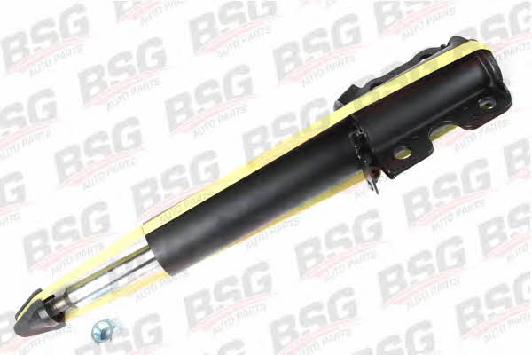 BSG 60-300-001 Front oil and gas suspension shock absorber 60300001