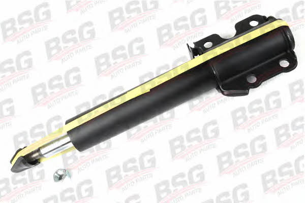 BSG 60-300-003 Front oil and gas suspension shock absorber 60300003