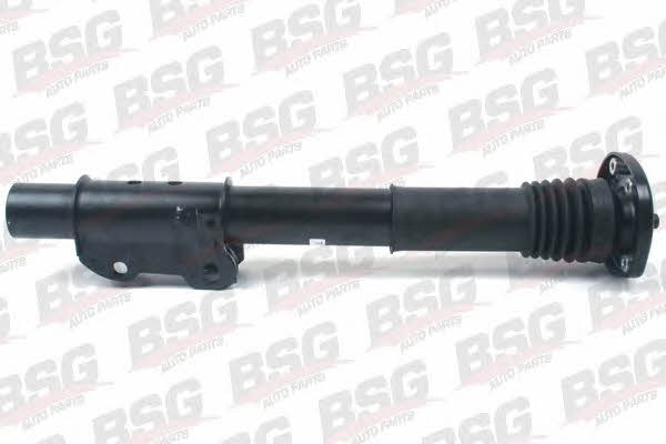 BSG 60-300-020 Front oil and gas suspension shock absorber 60300020