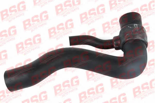 BSG 60-720-002 Refrigerant pipe 60720002