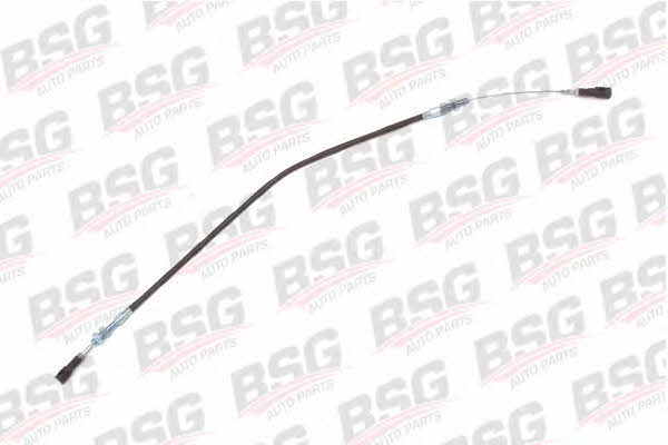 BSG 60-755-003 Accelerator cable 60755003
