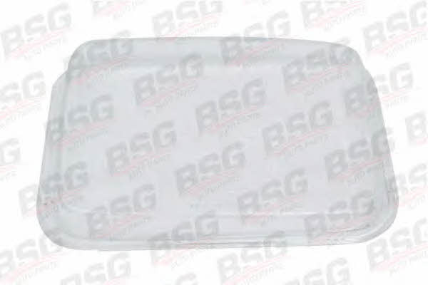 BSG 60-801-005 Diffusing Lens, headlight 60801005