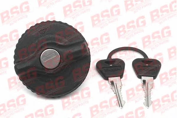 BSG 60-971-001 Fuel Door Assembly 60971001