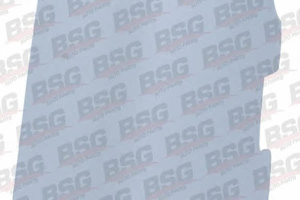 BSG 65-922-004 Plug towing hook 65922004