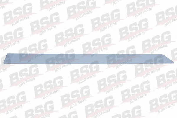 BSG 65-924-004 Trim/Protective Strip, door 65924004