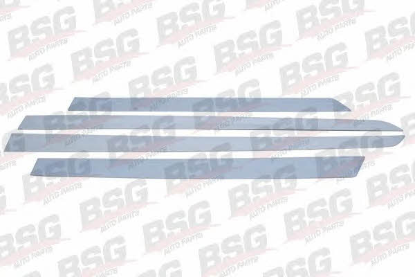 BSG 65-924-005 Trim/Protective Strip, door 65924005