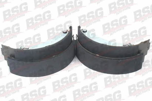BSG 70-205-003 Brake shoe set 70205003