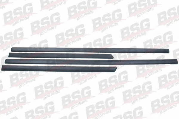 BSG 90-924-002 Trim/Protective Strip, door 90924002