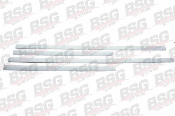 BSG 90-924-003 Trim/Protective Strip, door 90924003