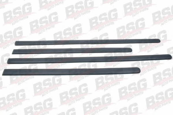 BSG 90-924-008 Trim/Protective Strip, door 90924008