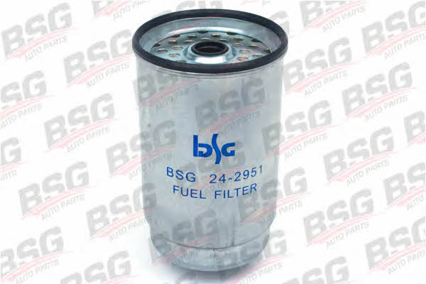 BSG 30-130-001 Fuel filter 30130001